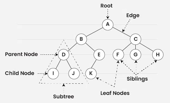 Ağaç Yapısı Görseli